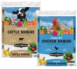 Cow Manure